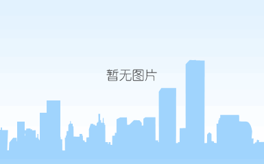 钢板桩植入